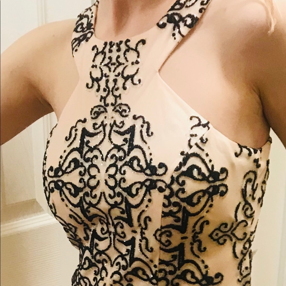 Formal blush and black embellished bodice dress